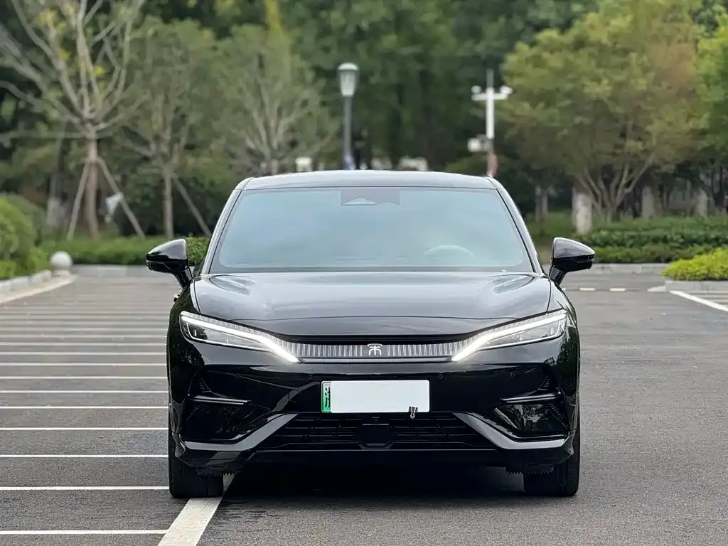 BYD L EV 2024 из CN, фото 2