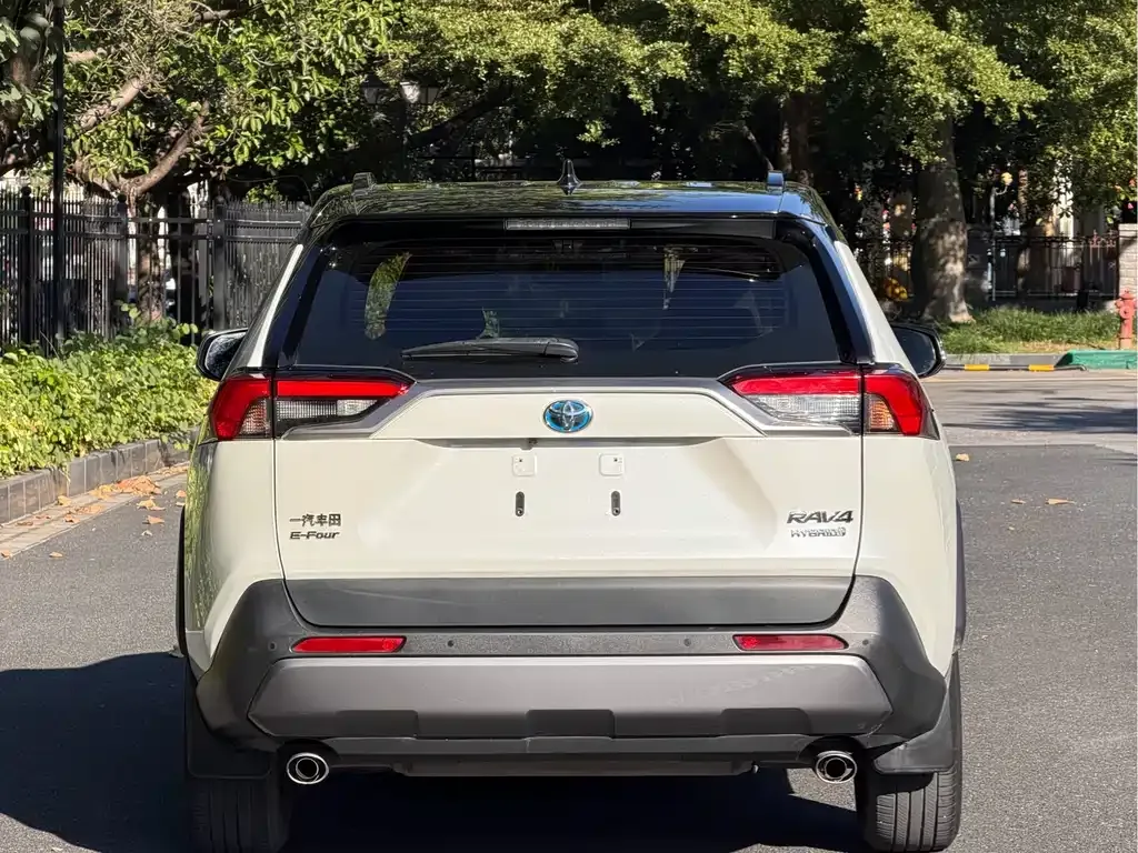 Toyota RAV4 2021 из CN, фото 9