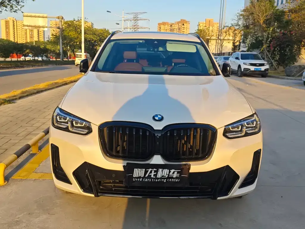 BMW X3 2022 из CN, фото 3