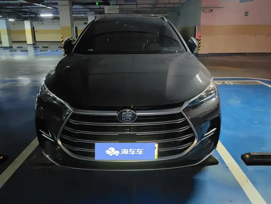BYD Tang New Energy 2023 из CN, фото 2