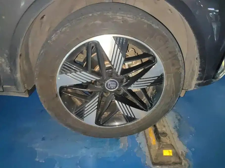 BYD Tang New Energy 2023 из CN, фото 6