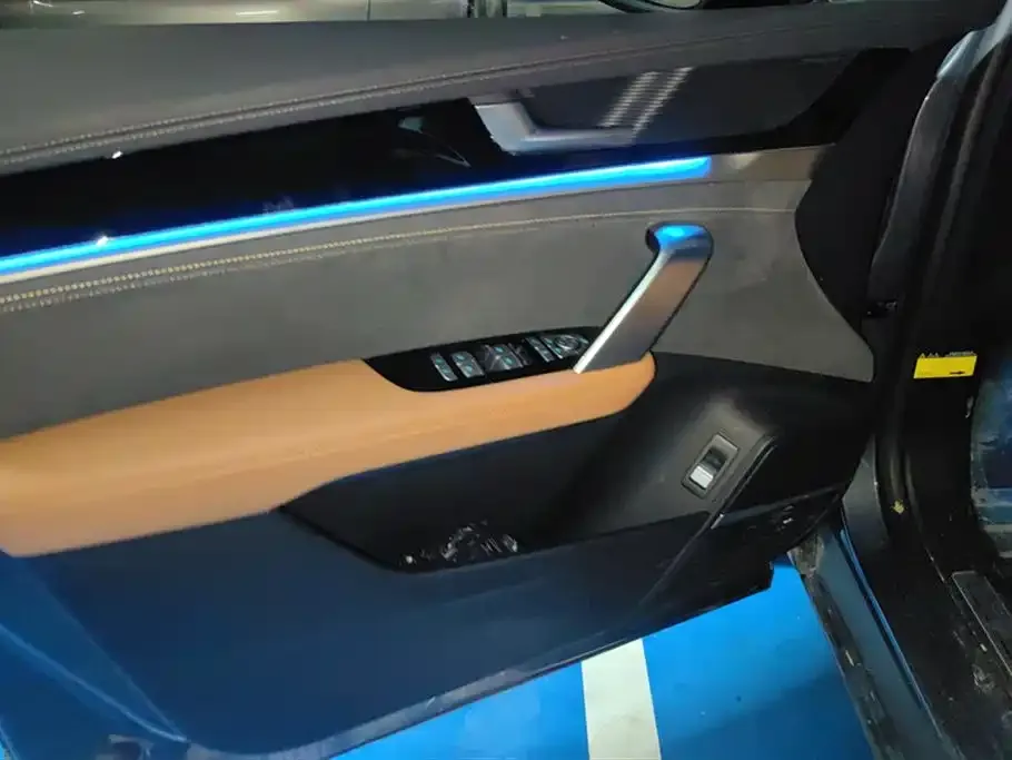 BYD Tang New Energy 2023 из CN, фото 7