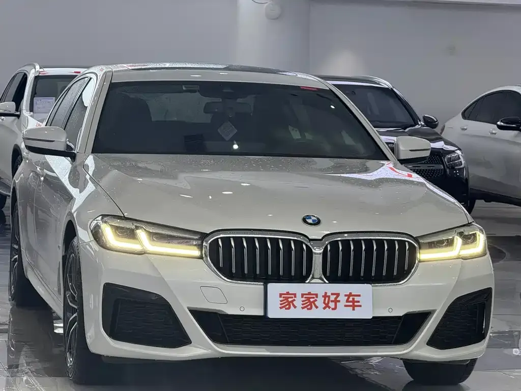 BMW 5 Series 2023 из CN, фото 3