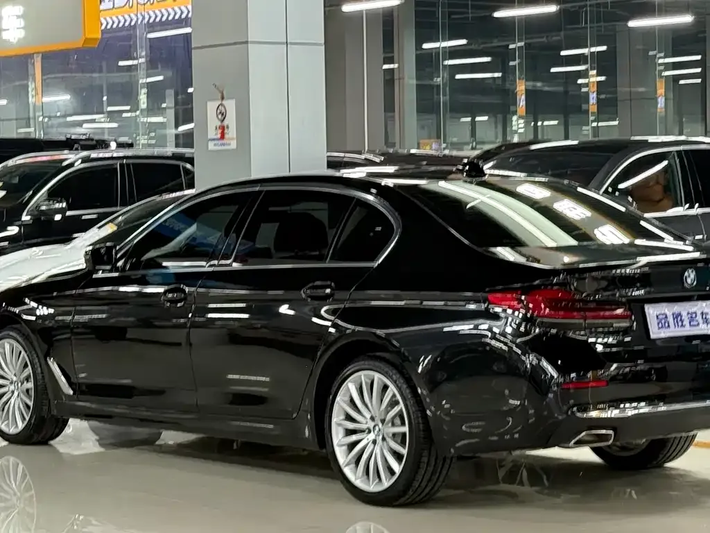 BMW 5 Series 2023 из CN, фото 3