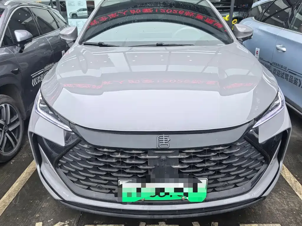 BYD Tang New Energy 2025 из CN, фото 1