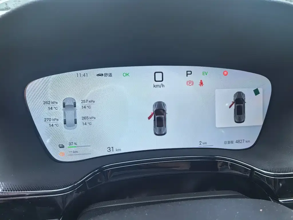BYD Tang New Energy 2025 из CN, фото 2