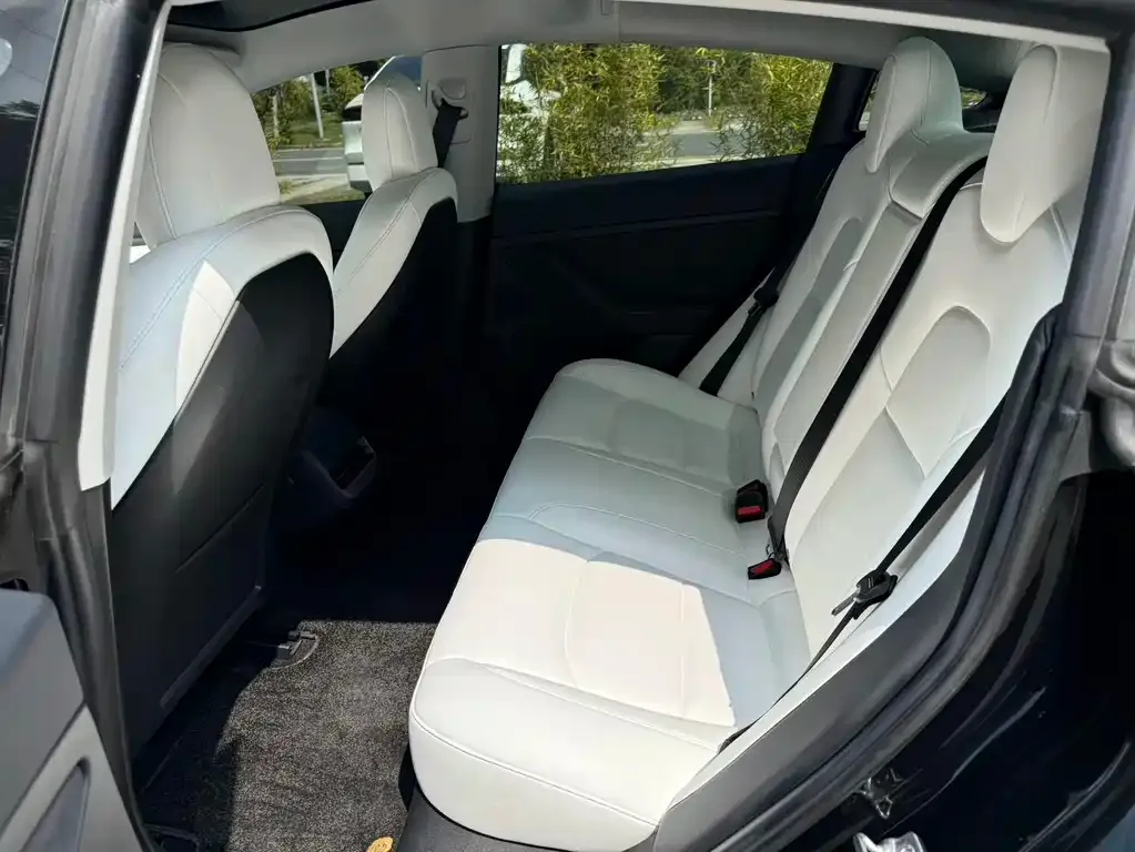 Tesla Model 3 2021 из CN, фото 10