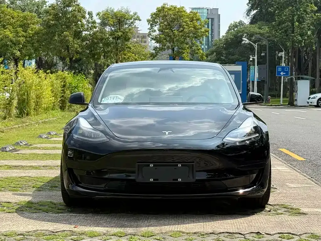 Tesla Model 3 2021 из CN, фото 2