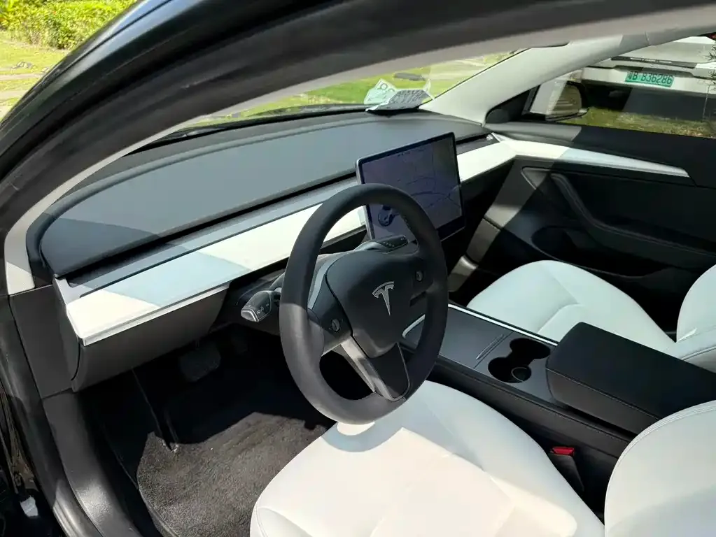 Tesla Model 3 2021 из CN, фото 4