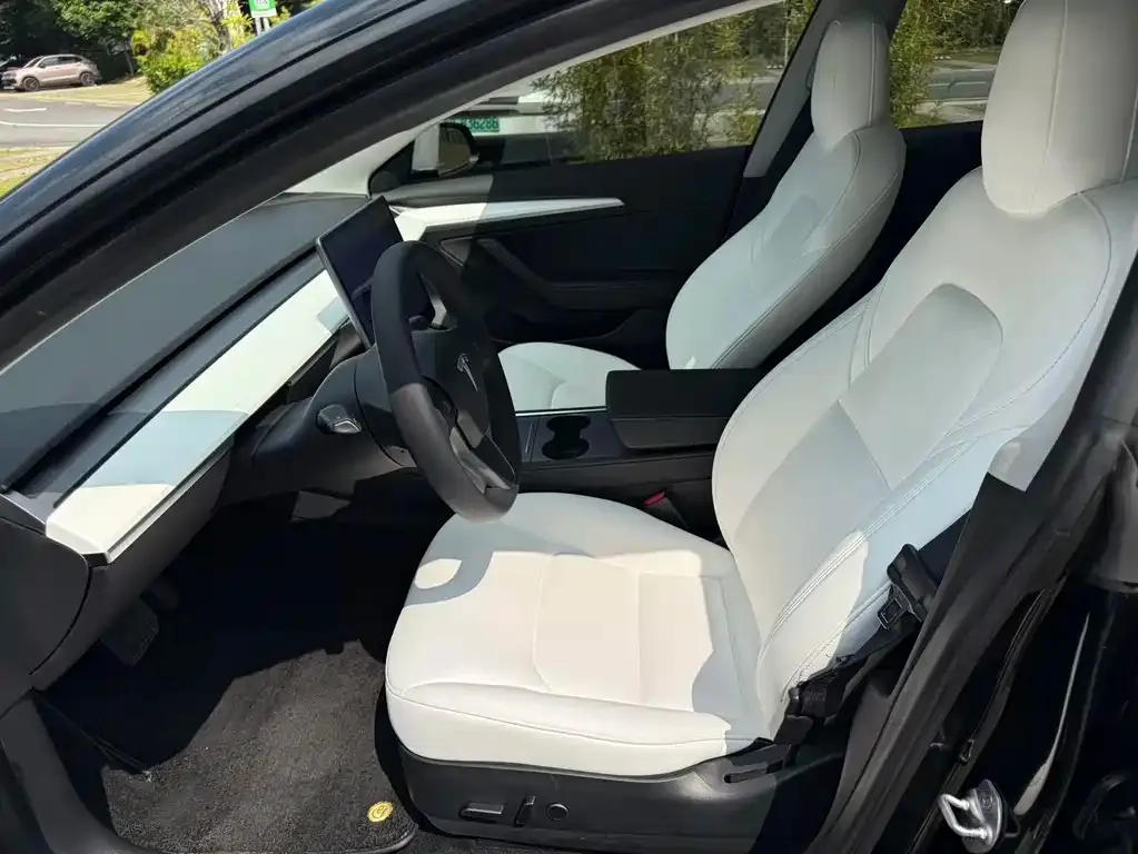 Tesla Model 3 2021 из CN, фото 5