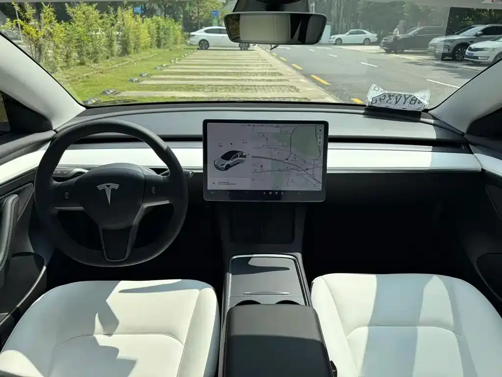 Tesla Model 3 2021 из CN, фото 6