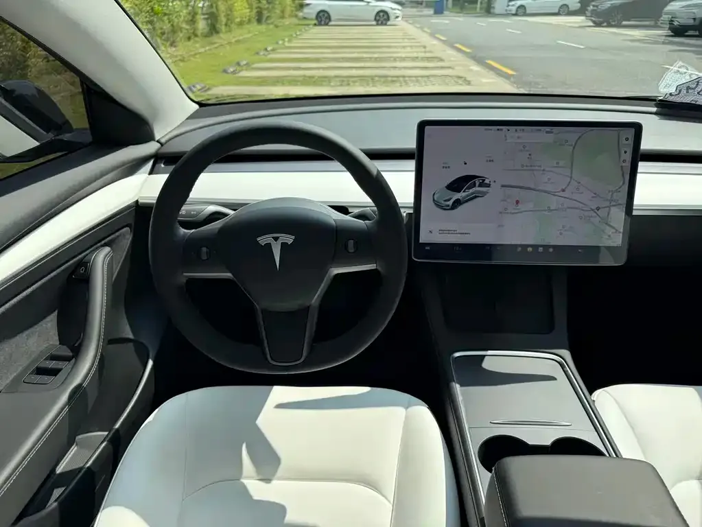 Tesla Model 3 2021 из CN, фото 7
