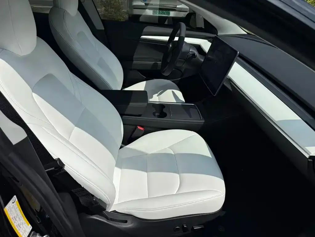 Tesla Model 3 2021 из CN, фото 8