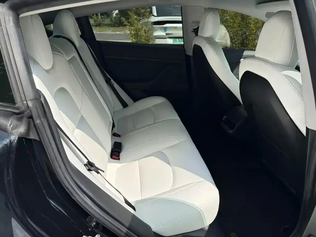 Tesla Model 3 2021 из CN, фото 9
