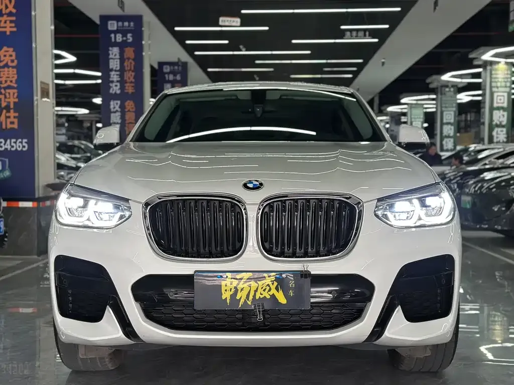 BMW X4 2021 из CN, фото 2