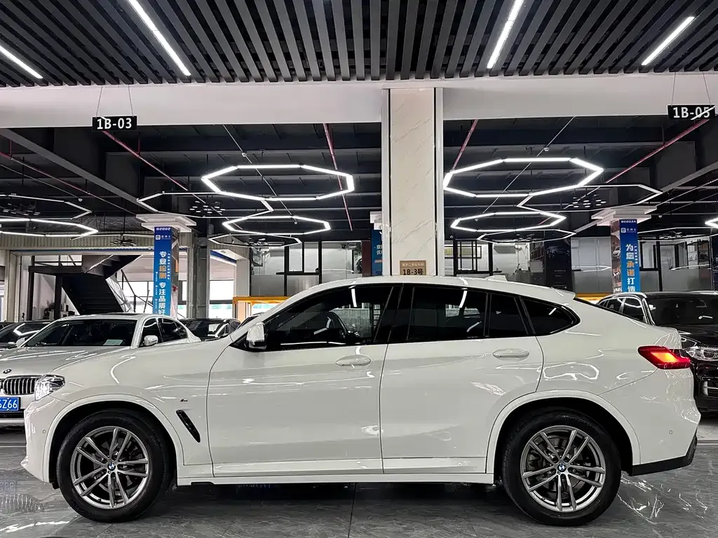 BMW X4 2021 из CN, фото 4