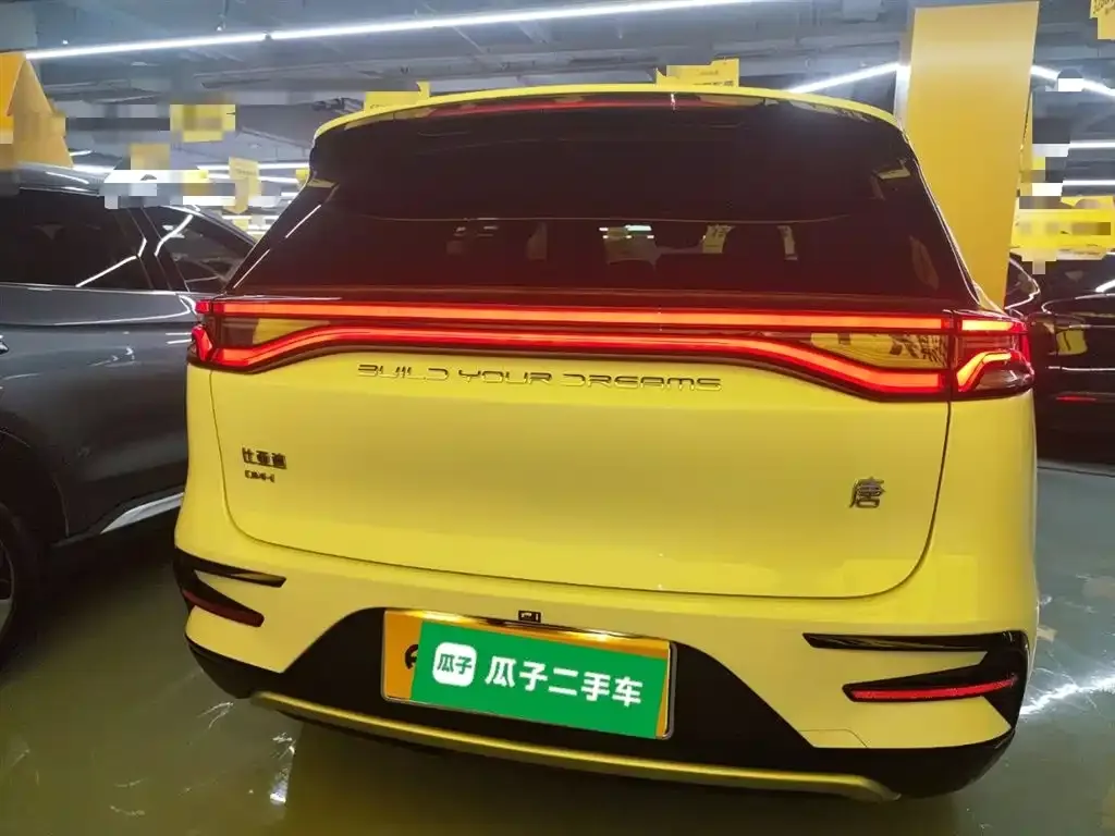BYD Tang New Energy 2024 из CN, фото 6