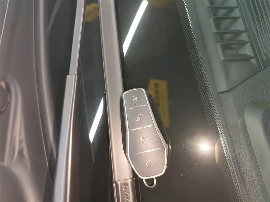 BYD Tang New Energy 2024 из CN, фото 9