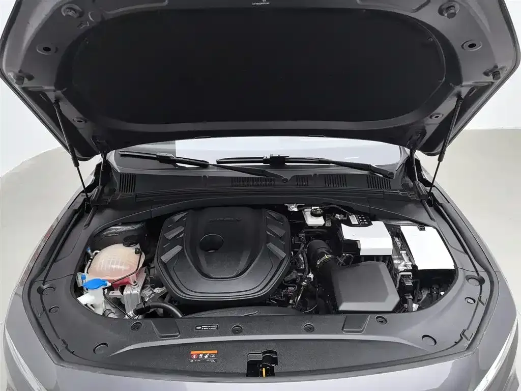 Geely Xingrui 2024 из CN, фото 6