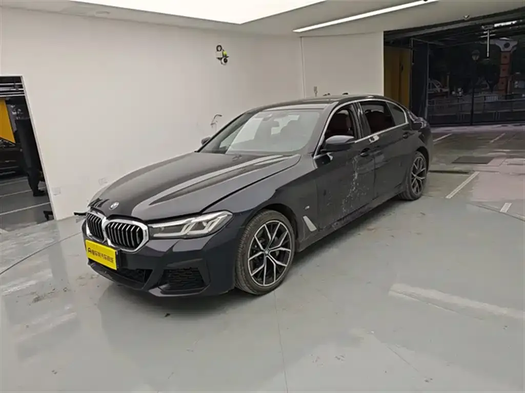 BMW 5 Series 2022 из CN, фото 1