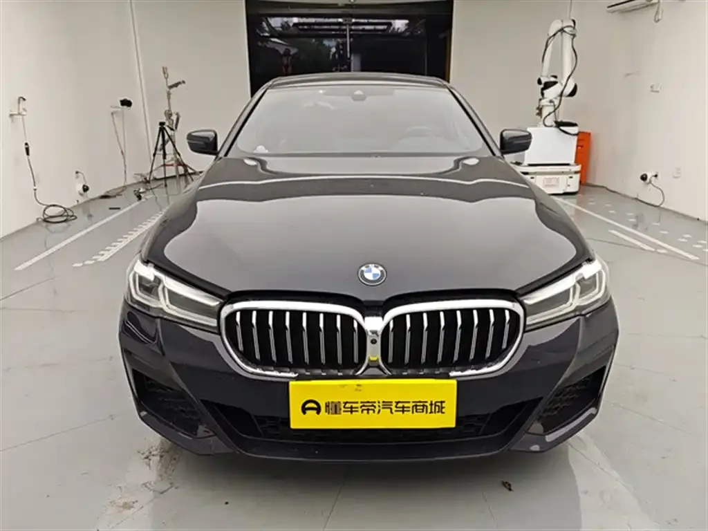 BMW 5 Series 2022 из CN, фото 3