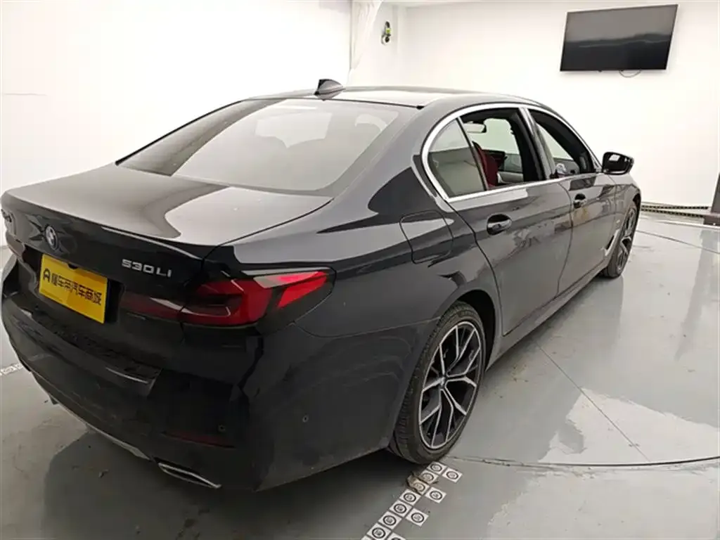 BMW 5 Series 2022 из CN, фото 5