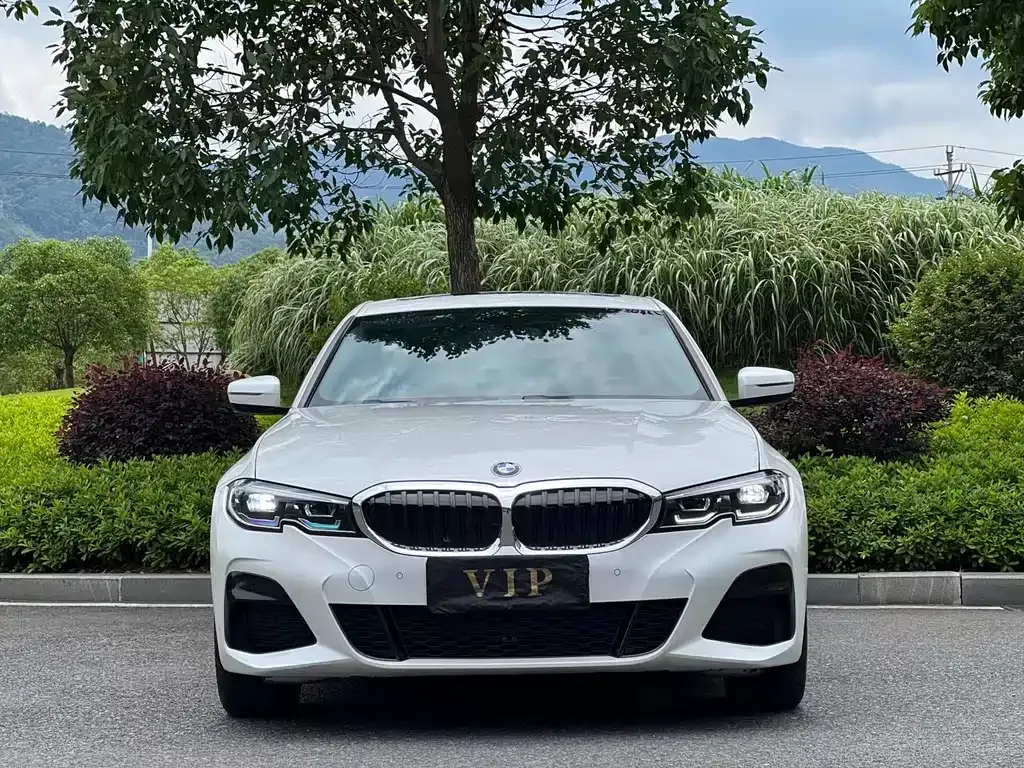 BMW 3 Series 2022 из CN, фото 2