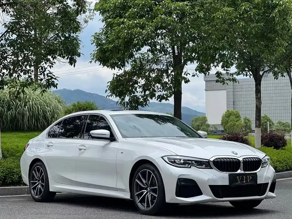 BMW 3 Series 2022 из CN, фото 3