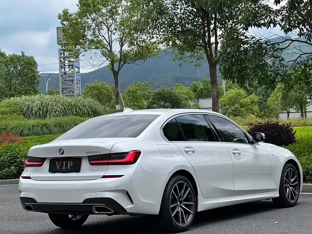 BMW 3 Series 2022 из CN, фото 9