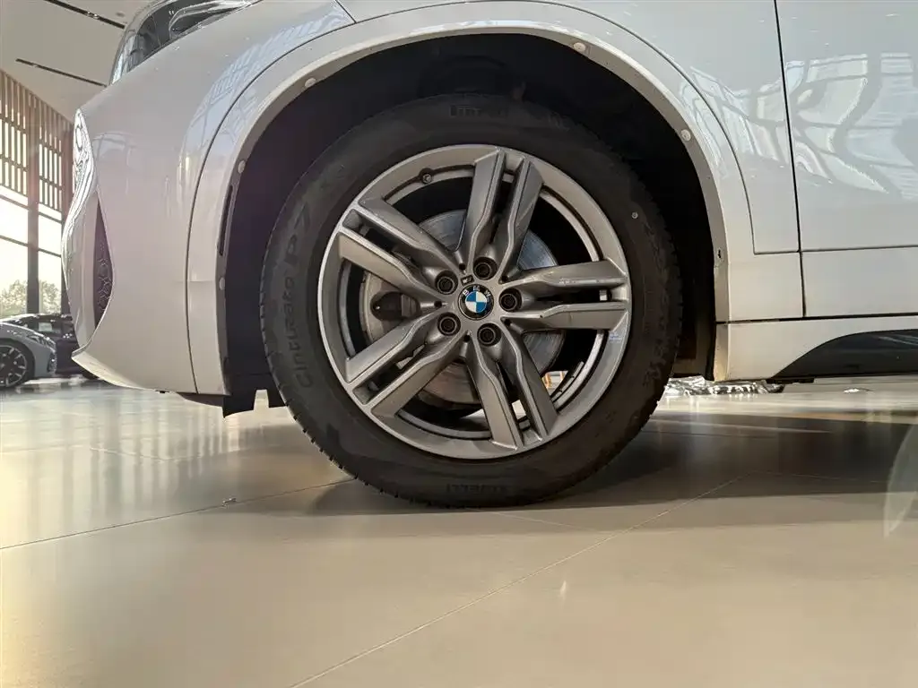 BMW X2 2024 из CN, фото 10