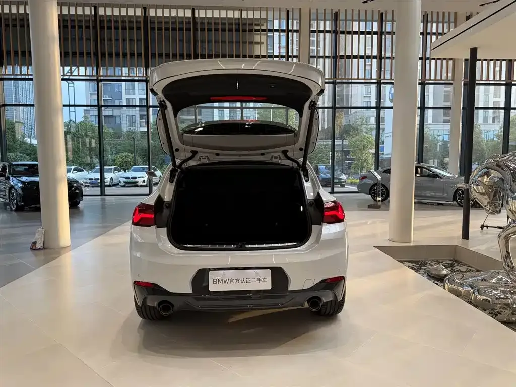 BMW X2 2024 из CN, фото 9