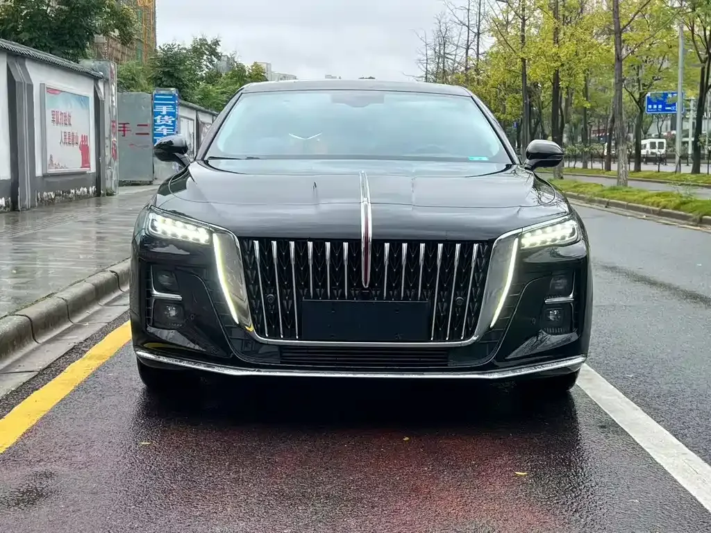 Hongqi H5 2023 из CN, фото 2