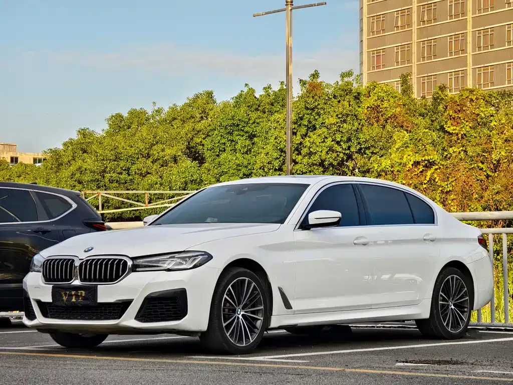 BMW 5 Series 2021 из CN, фото 1