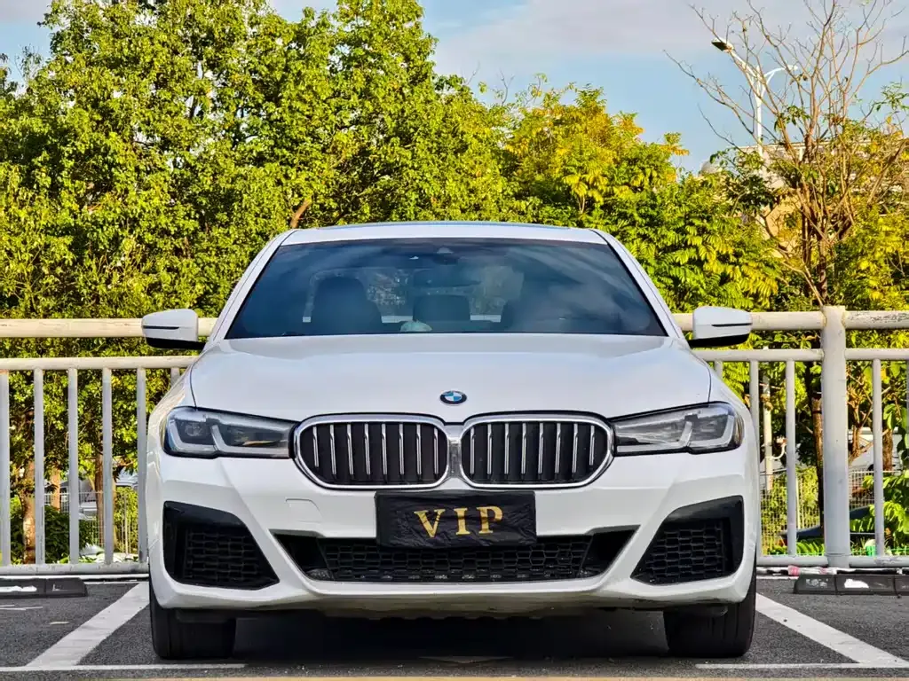 BMW 5 Series 2021 из CN, фото 2