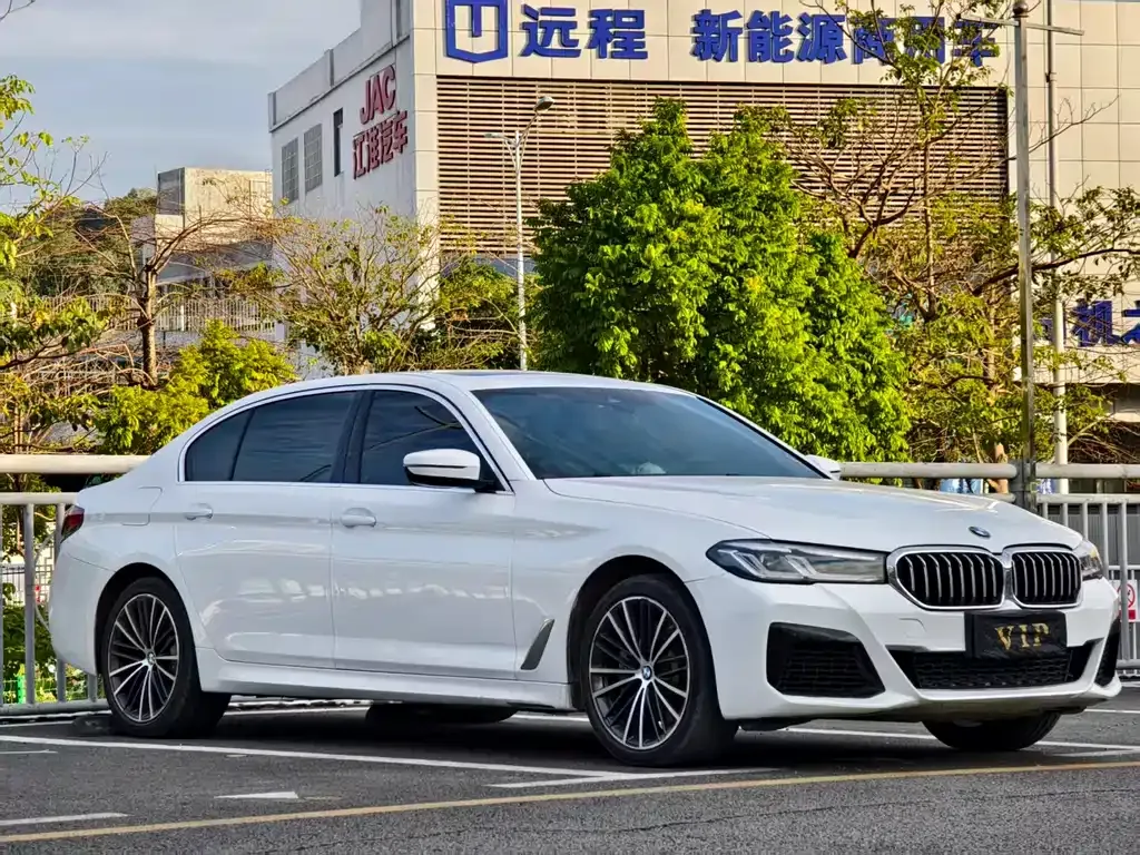 BMW 5 Series 2021 из CN, фото 3