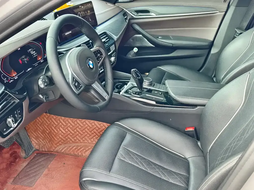 BMW 5 Series 2021 из CN, фото 4