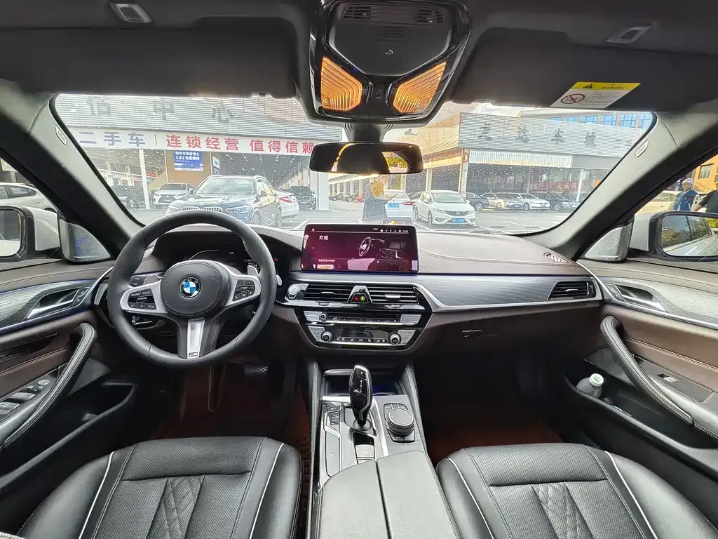 BMW 5 Series 2021 из CN, фото 5