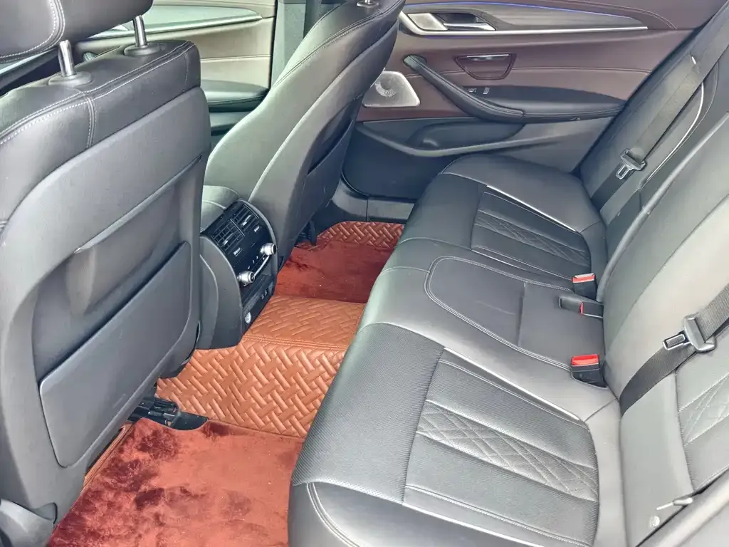 BMW 5 Series 2021 из CN, фото 6