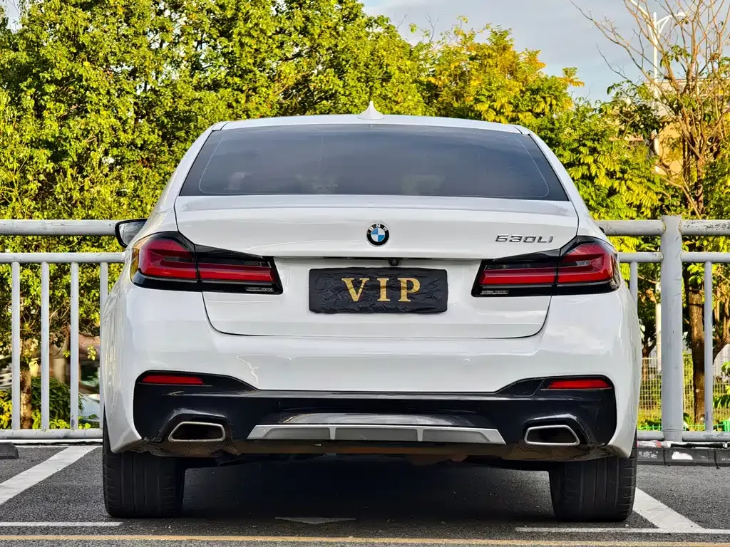 BMW 5 Series 2021 из CN, фото 8