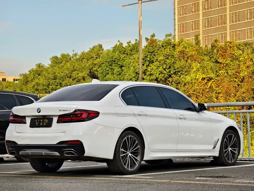 BMW 5 Series 2021 из CN, фото 9