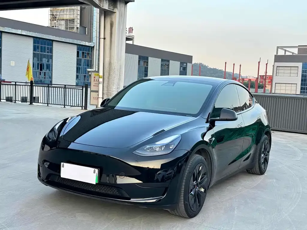 Tesla Model Y 2023 из CN, фото 1