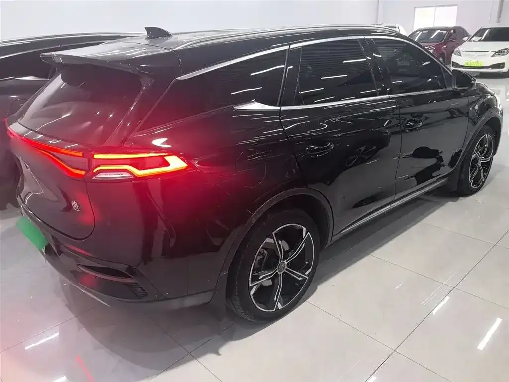 BYD Tang New Energy 2022 из CN, фото 7