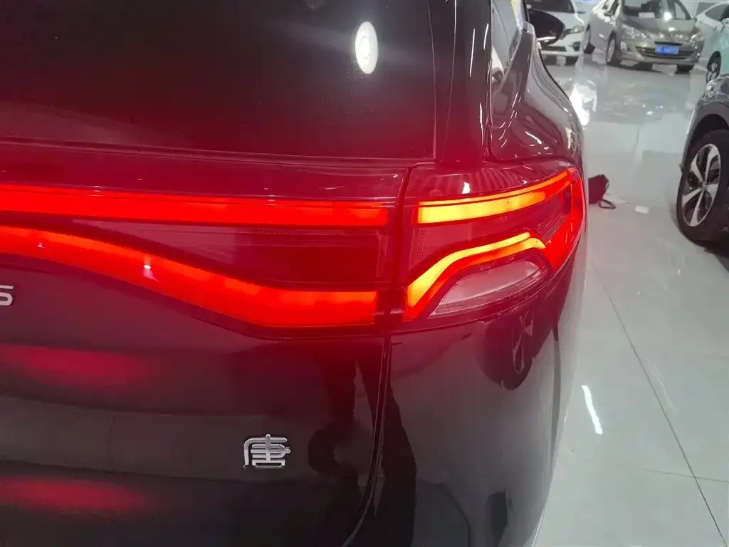 BYD Tang New Energy 2022 из CN, фото 8