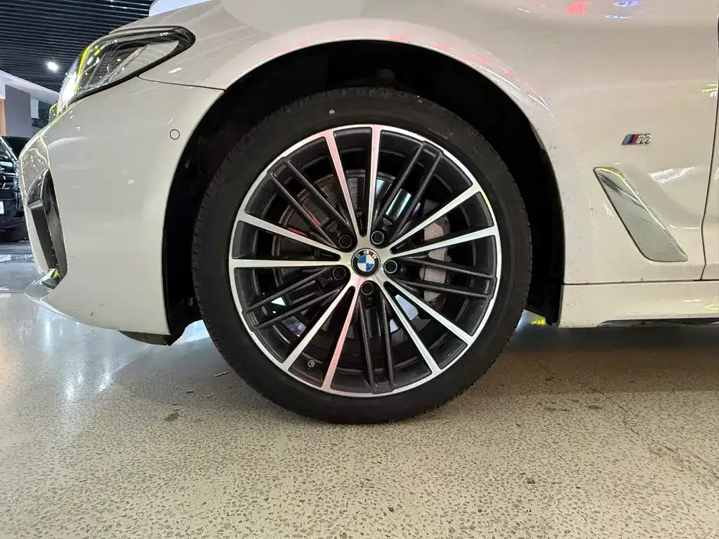 BMW 5 Series 2023 из CN, фото 10