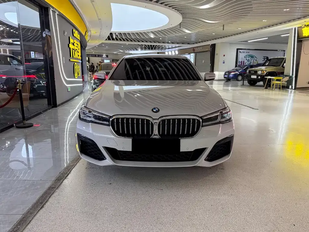 BMW 5 Series 2023 из CN, фото 2
