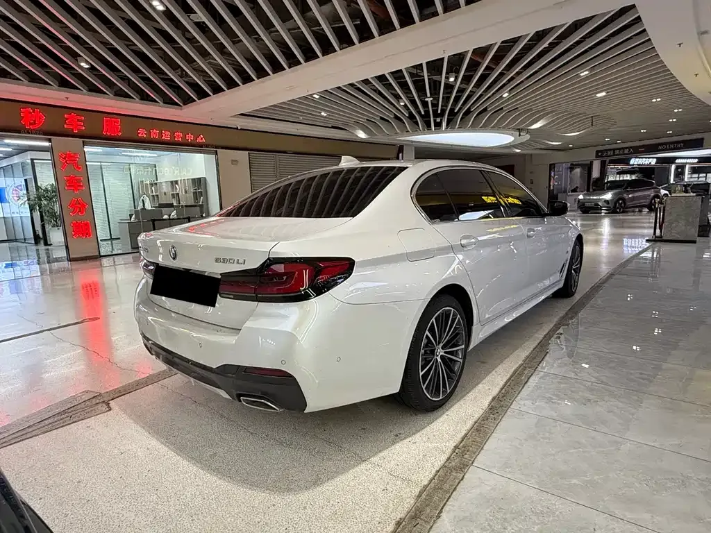 BMW 5 Series 2023 из CN, фото 3