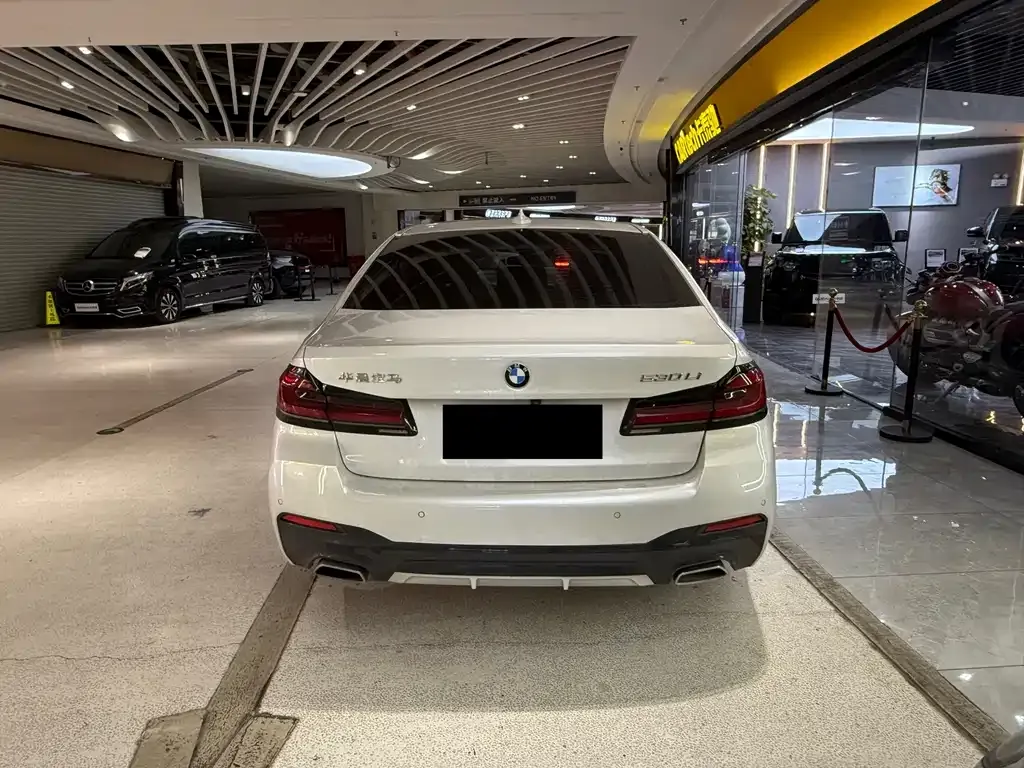 BMW 5 Series 2023 из CN, фото 4