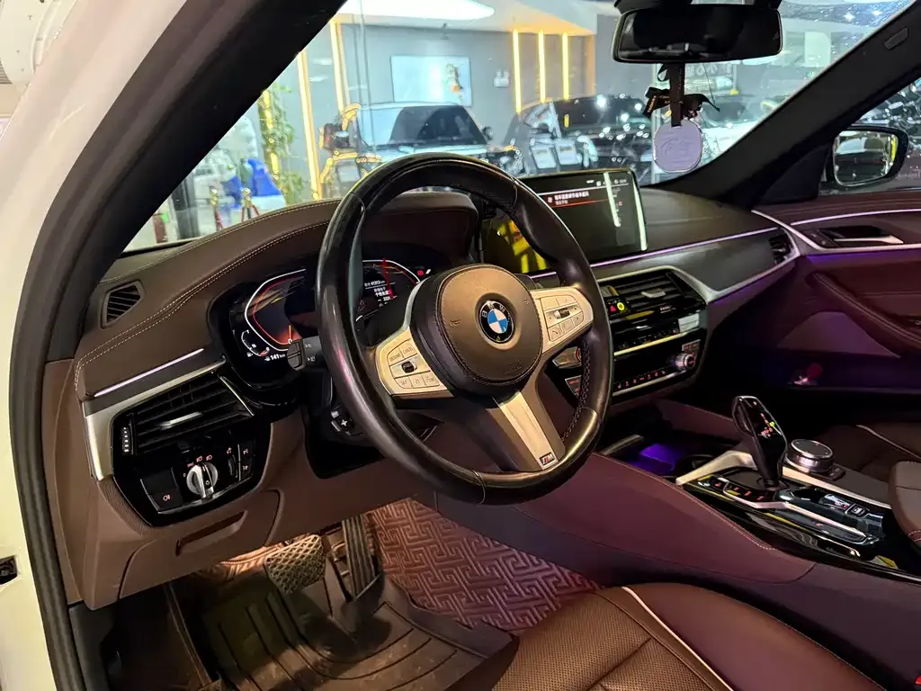 BMW 5 Series 2023 из CN, фото 5