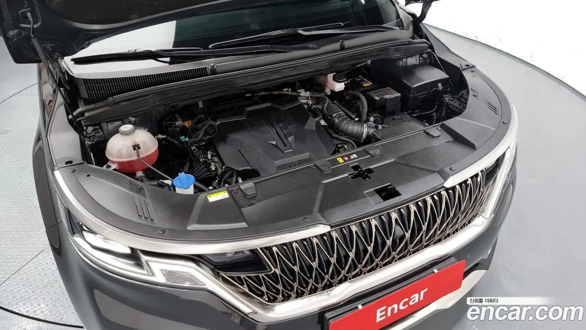 [object Object] Canival 2023 из KR, фото 6