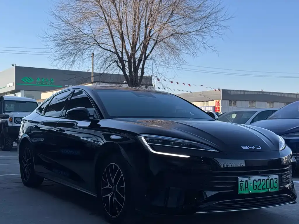 BYD Seal 07 DM-i 2024 из CN, фото 3